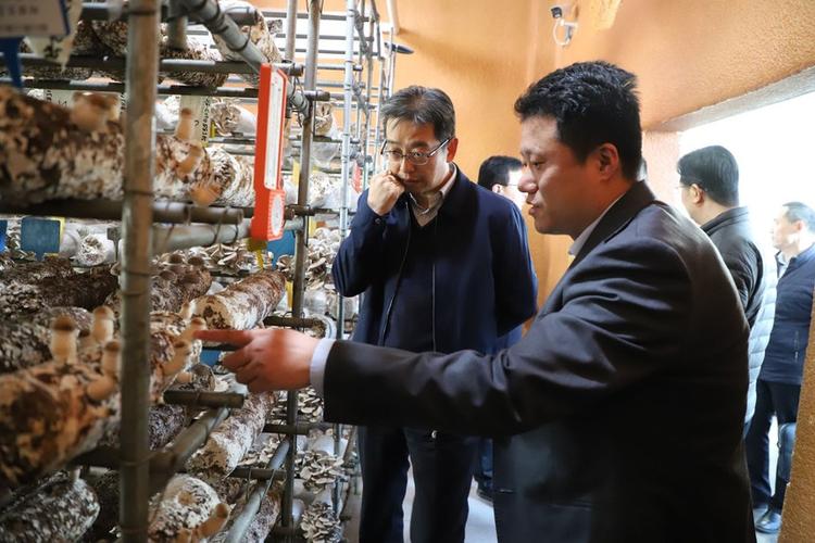 潘军副厅长一行到七河生物公司西楼智慧工厂制棒车间调研