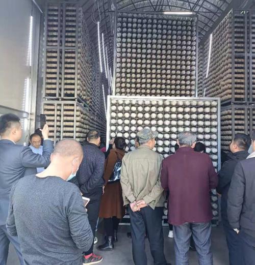 参加交流会的菇农代表到西楼智慧工厂智控中心参观