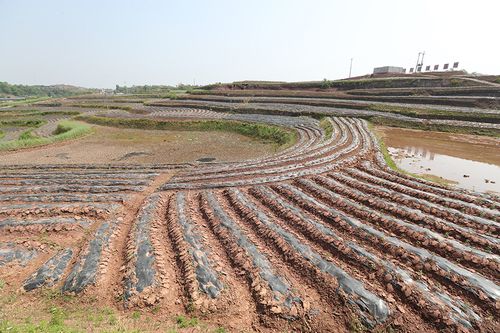 重庆市荣昌区河包镇核桃村驻村工作队和镇村干部将扶贫与扶志扶智相